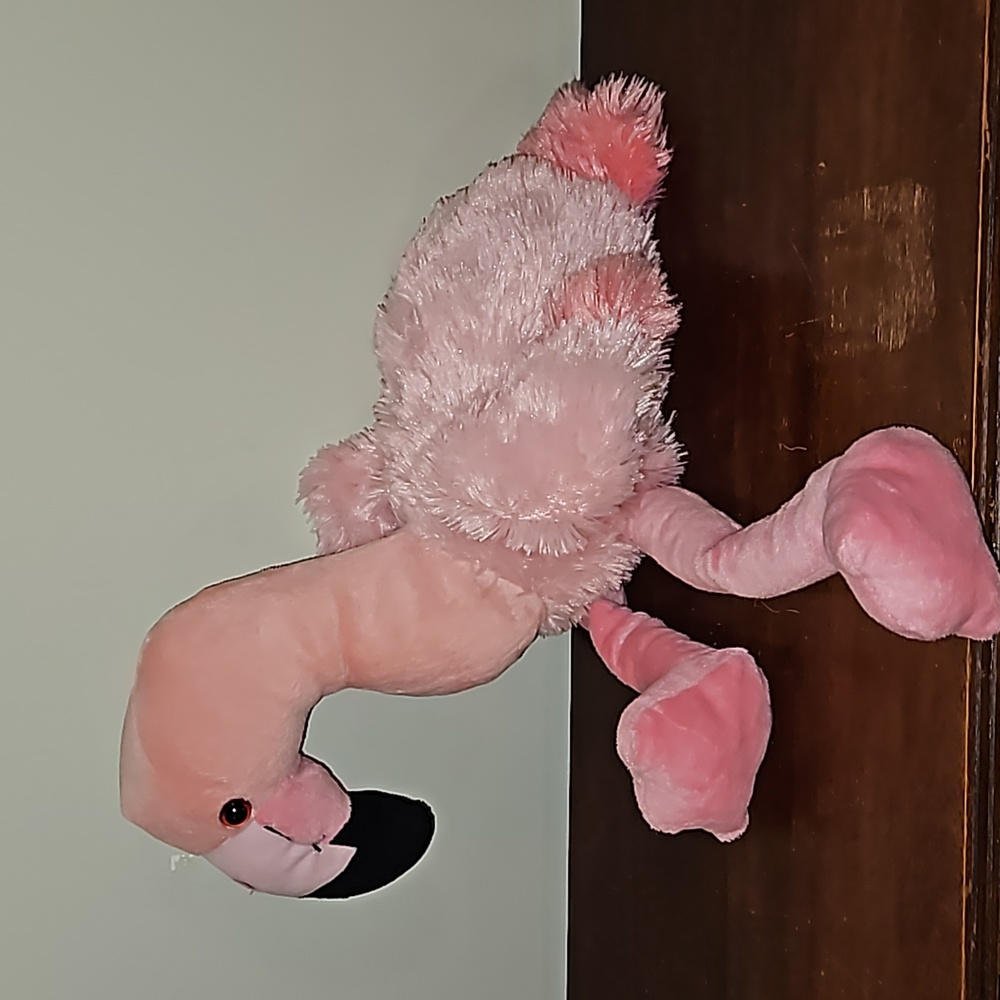 Flamingo - Picture 3 of 5